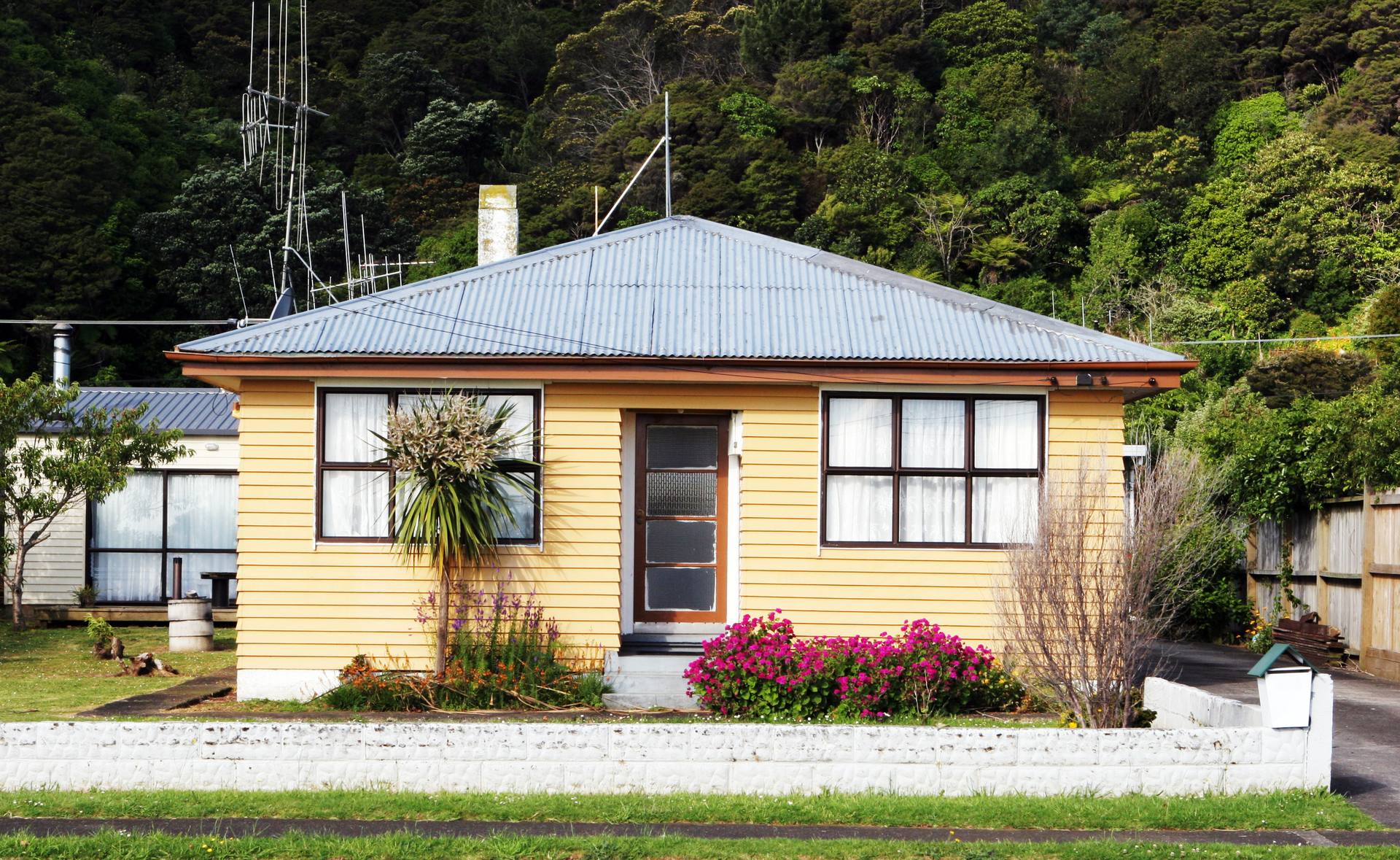 Yellow weatherboard bungalow with a corrugated iron roof, a flax and pink flowers in the front garden and native bush behind